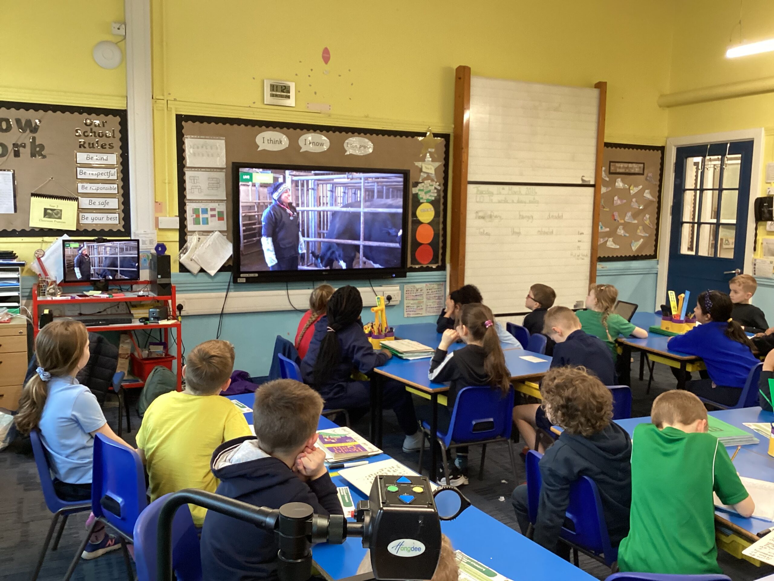 Year 3: Science Workshop