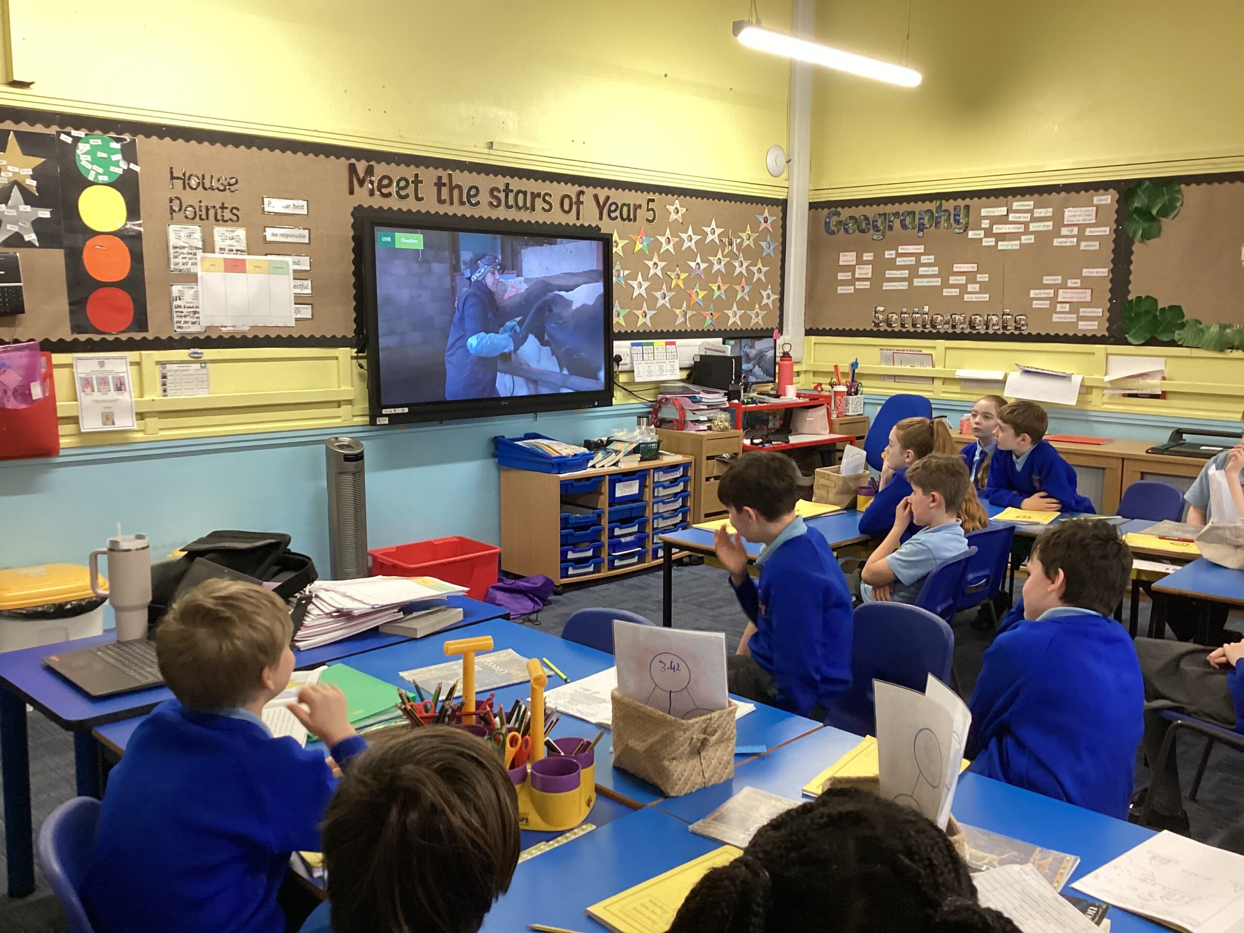 Year 5: Celebrating Science Week