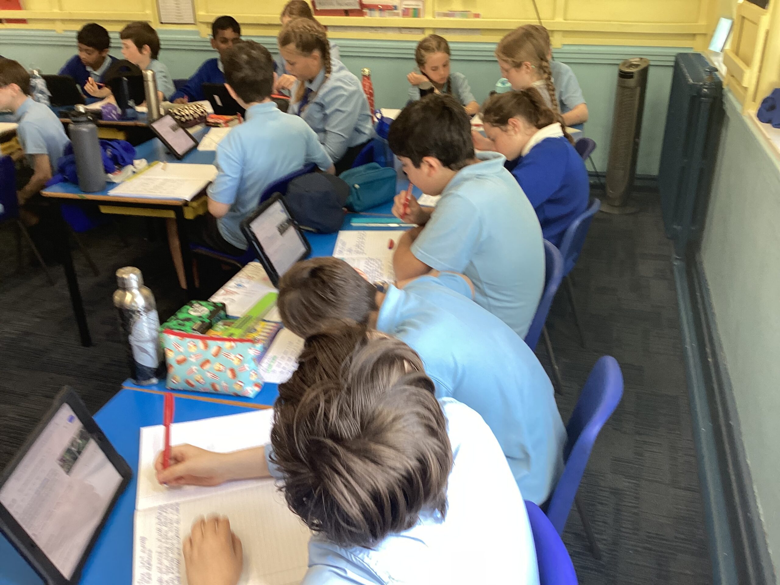 Year 6: Plant adaptations