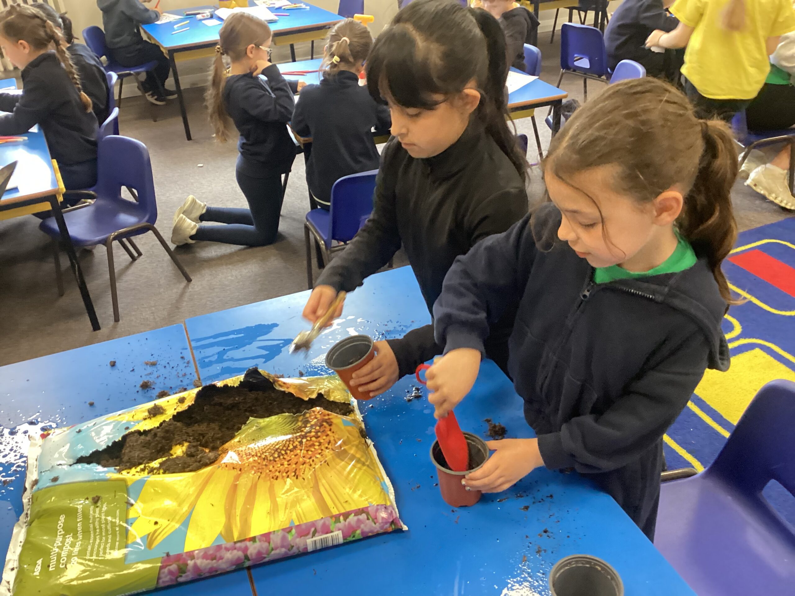 Year 2 – Protecting Nature Around Us